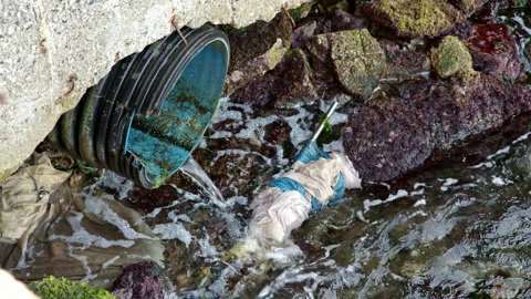 Dirty water flows from pipe at factory into dirty river with garbage. Waste Stock Footage 221366401