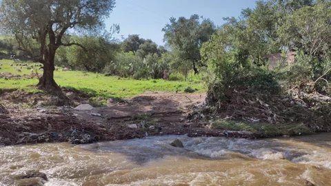 Dirty water flows into a river, causing sewage pollution. Stock Footage 337444664