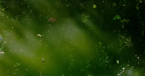 Dirty water Stock Footage 132365062