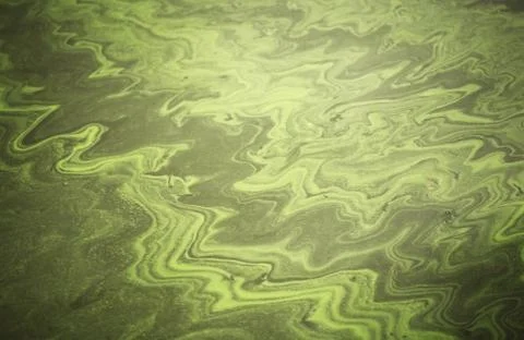 Dirty water Stock Photos