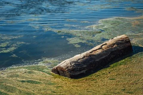 Dirty water Stock Photos
