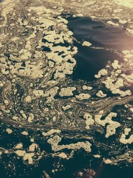 Dirty water in a puddle Stock Photos