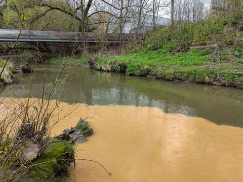 Dirty water in river Stock Photos