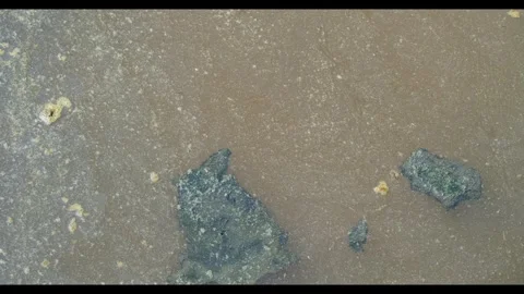 Dirty Water Surface with Floating Organic Debris and Algae Stock Footage 342751765