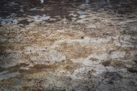 Dirty wet stone texture Stock Photos