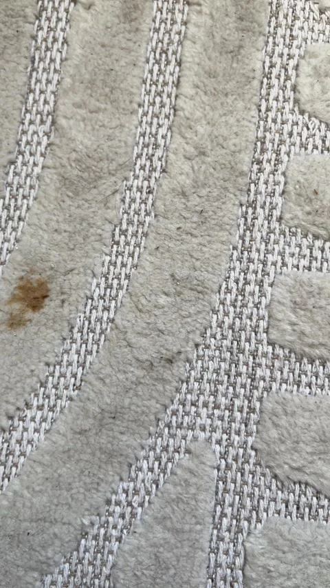 Dirty White Carpet Surface With Small Brown Stain and Visible Fibers Creating Stock Footage 334673325