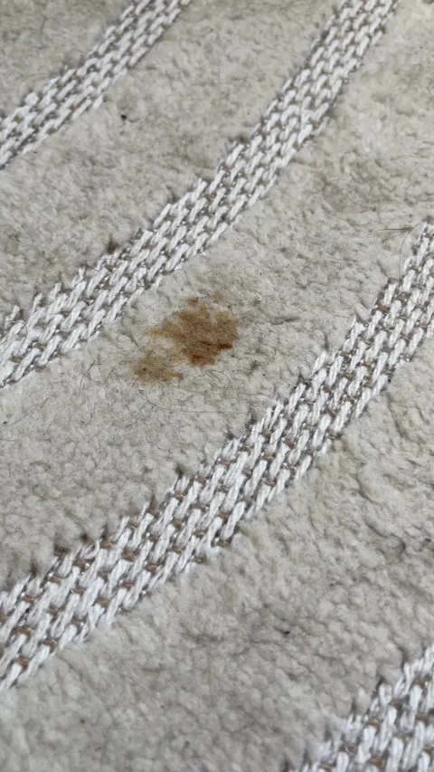 Dirty White Carpet Surface With Small Brown Stain and Visible Fibers Creating Stock Footage 334673394