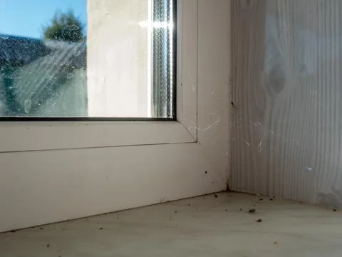 Dirty white plastic window frame corner with a thin spider web Stock Photos