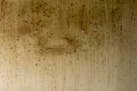 Dirty white wall Stock Photos