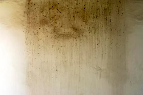 Dirty white wall Stock Photos
