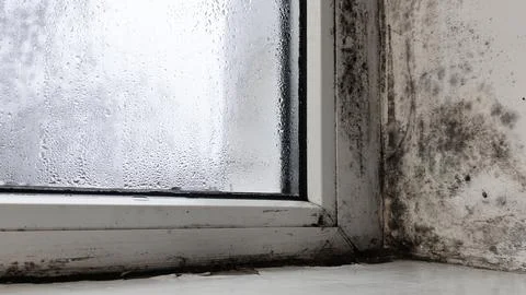 Dirty window frame with mold and peeling paint, window detail closeup, Fotos de archivo