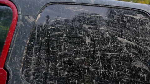 Dirty window on an off-road car Stock Footage 158976943