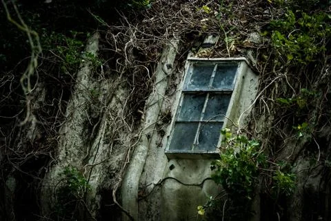 A Dirty Window In A Rusty Frame On A Moss Covered Corrugated Iron Roof Stock Photos