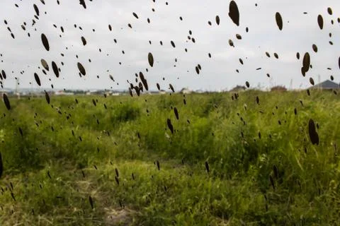 Dirty Windows Stock Photos