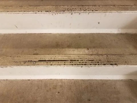 Dirty worn or broken stairs with metal tacks Stock Photos