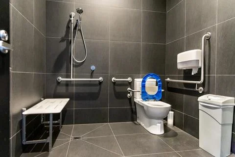 Disability friendly generic restroom sanitary with hand rails and bars, bench Foto stock