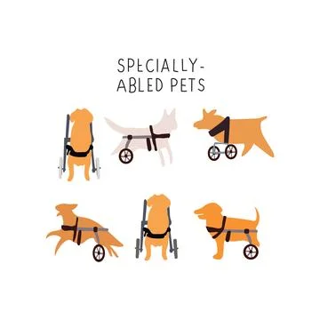 Disabled Dogs set set Stock Illustration
