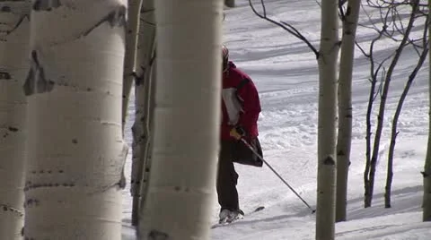 Disabled Skier 動画素材 10920882