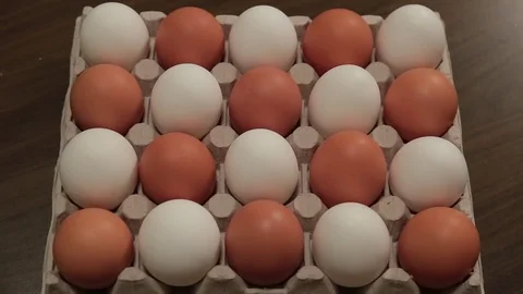 Disappearance of white and brown eggs in carton cell. Eggs  animation. Stock Footage 84561129