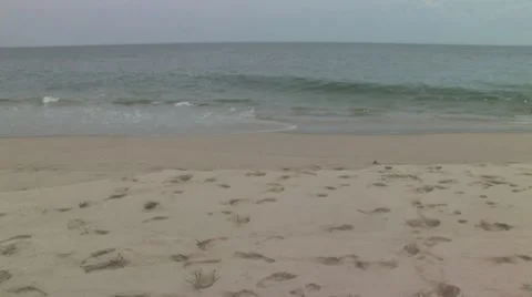 Disappearing Footprints Stock Footage 8521132