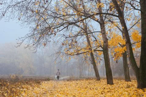 Disappearing into the mist Stock Photos