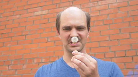 Disappointed balding man pulls seeds from a dandelion. brick wall background Stock Footage 130341636
