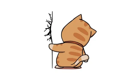 Disappointed Cat Animation - White Background Stock Footage 282773960