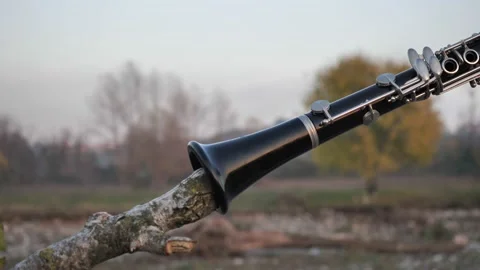 Disassembled clarinet along river Stock Footage 143434578