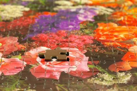 Disassembled puzzle with a last wrong piece impossible to fill Stock Photos