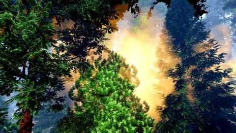 Disaster with fire in the forest 3d rendering Stock Illustration