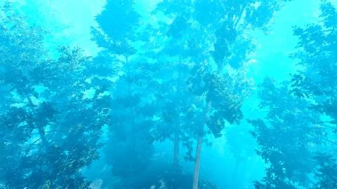 Disaster with fire in the forest 3d rendering イラスト素材