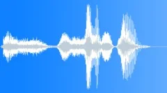 Disaster male voiceover Sound Effect
