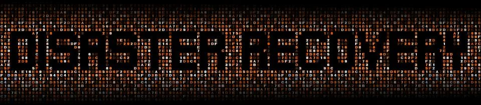 Disaster Recovery text on hex code illustration Stock Illustration