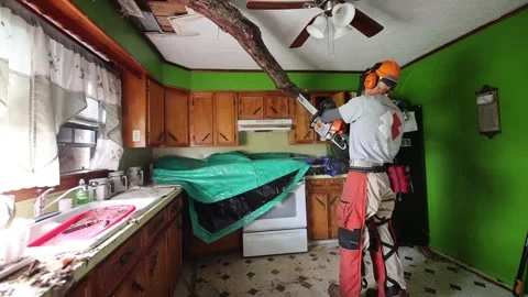 Disaster response cutting tree fallen through ceiling in wake of Hurricane Ida Stock Footage 161712829