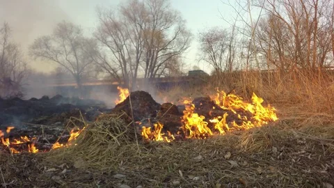 Disaster. Spread of fire. The sound of burning grass. 库存影片 74117249