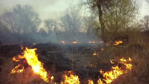 Disaster. Spread of fire. Time lapse. 库存影片 74076135