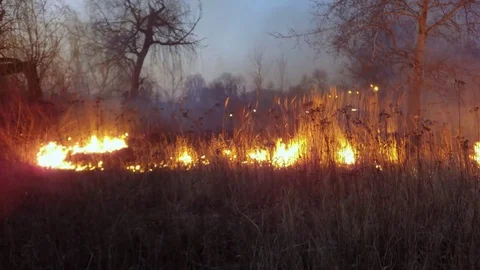 Disaster. Time lapse. 库存影片 74076108
