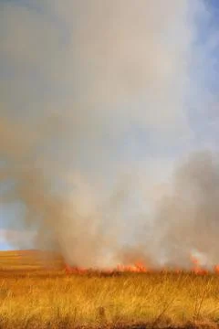 Disastrous steppe fire Stock-Fotos