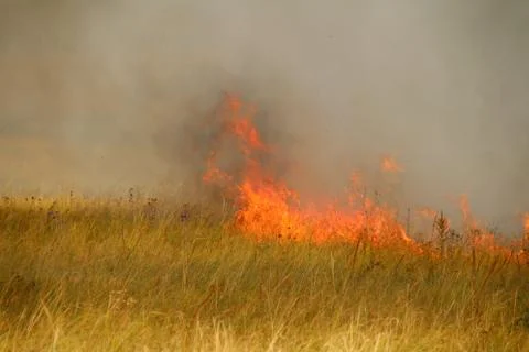 Disastrous steppe fire Stock Photos