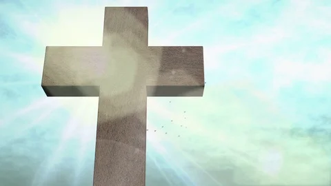From disbelief to hope Stock Footage 74125046