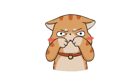 Disbelieving Cat Animation - White Background Stock Footage 282773847