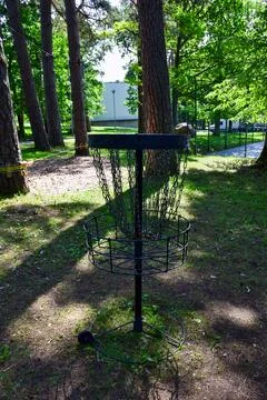 Disc golf basket with chains standing in a green public park with pine trees 스톡 사진