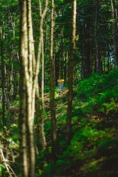Disc Golf Basket Stock Photos