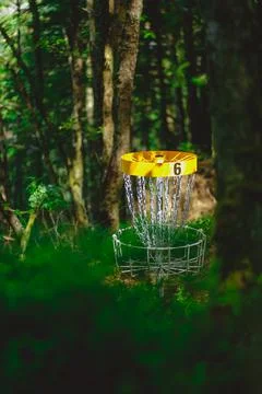 Disc Golf Basket Stock Photos