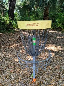 Disc golf game  Stock Photos