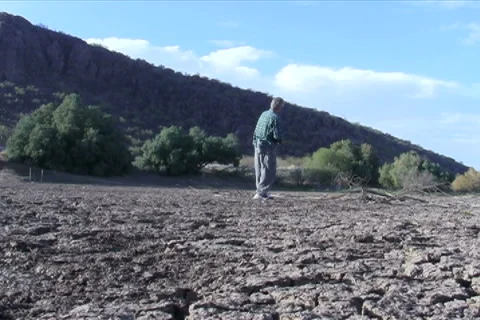 Disc golf V2 - NTSC Stock Footage 2103207