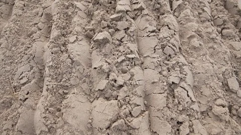 Disc harrow plow the garden. Private infield. Caring for the soil Video stock 290064282