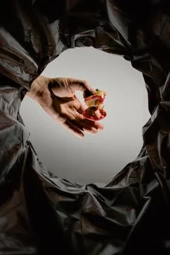 Discarded apple core Stock Photos