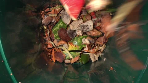 Discarded in the bin stale bread. Food loss from mold. Leftovers are foods Stock Footage 158787208