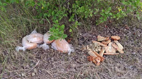 Discarded bread loaves in plastic bags thrown on the ground Stock Footage 337551863
